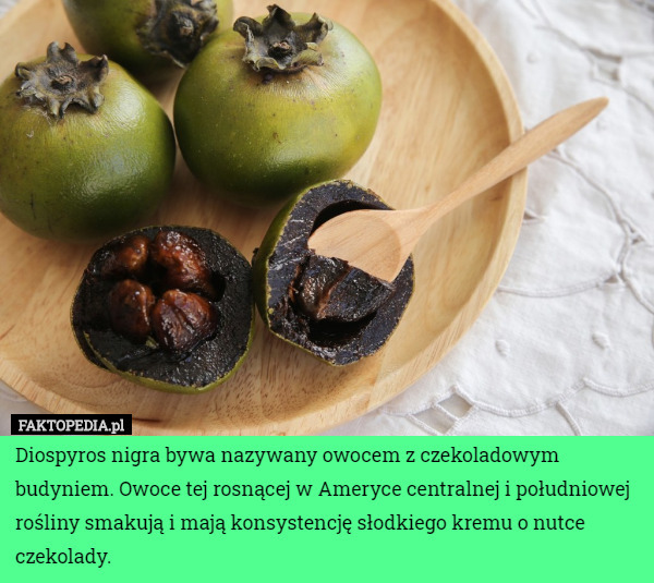 Diospyros nigra bywa nazywany owocem z czekoladowym budyniem. Owoce tej