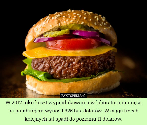 W 2012 roku koszt wyprodukowania w laboratorium mięsa na hamburgera wynosił...