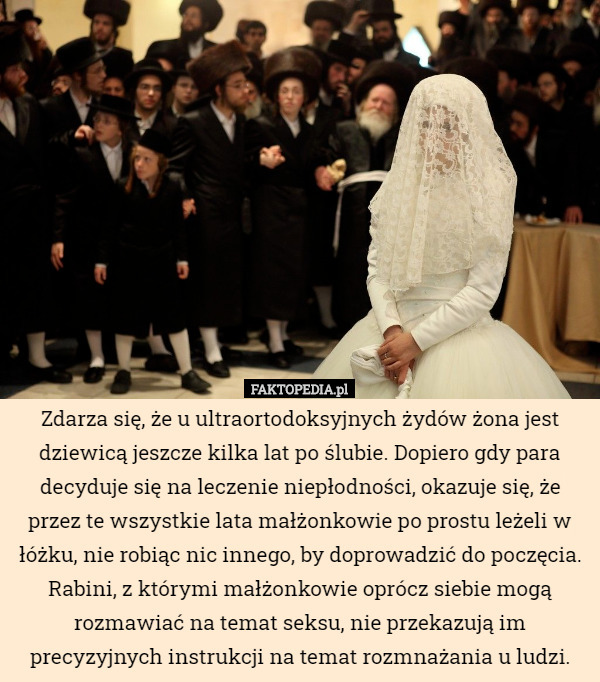 Zdarza się, że u ultraortodoksyjnych żydów żona jest dziewicą jeszcze kilka...
