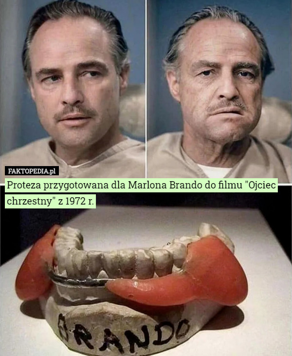 Proteza przygotowana dla Marlona Brando do filmu 