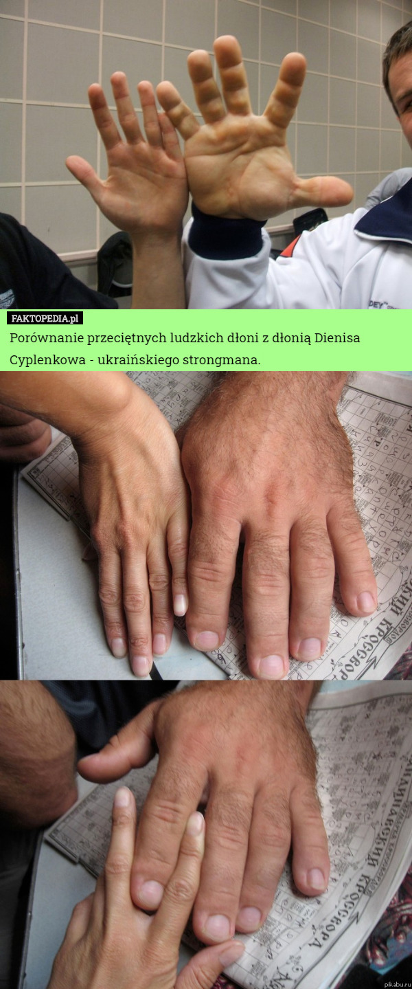 Porównanie przeciętnych ludzkich dłoni z dłonią Dienisa Cyplenkowa - ukraińskiego