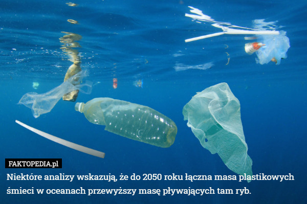 Niektóre analizy wskazują, że do 2050 roku łączna masa plastikowych śmieci w oceanach...