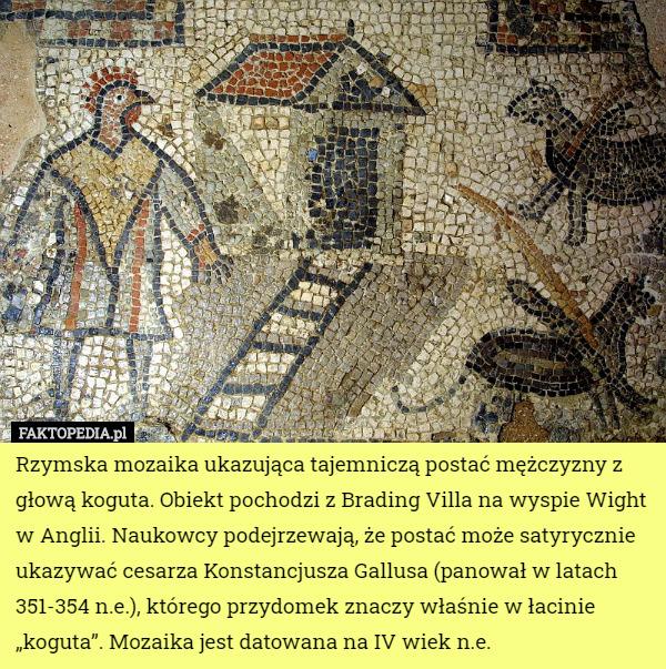 Rzymska mozaika ukazująca tajemniczą postać mężczyzny z głową koguta. Obiekt...