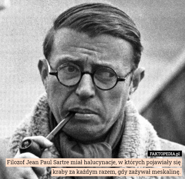 Filozof Jean Paul Sartre miał halucynacje, w których pojawiały się kraby