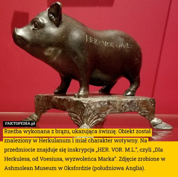Rzeźba wykonana z brązu, ukazująca świnię. Obiekt został znaleziony w Herkulanum
