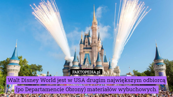 Walt Disney World jest w USA drugim największym odbiorcą (po Departamencie