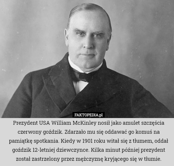 Prezydent USA William McKinley nosił jako amulet szczęścia czerwony...
