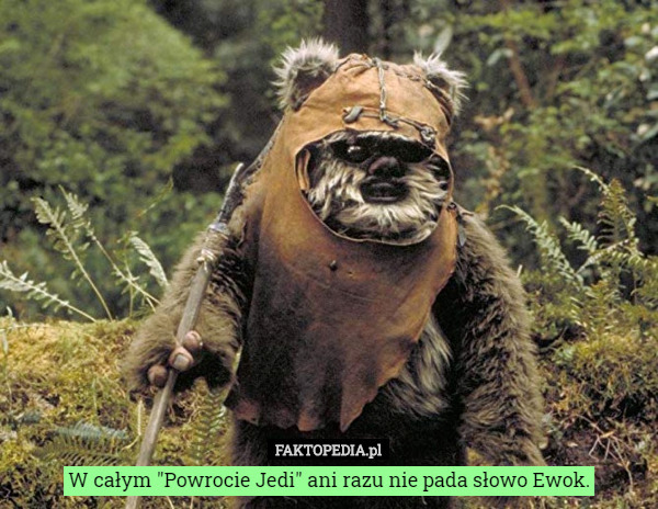 W całym "Powrocie Jedi" ani razu nie pada słowo Ewok.