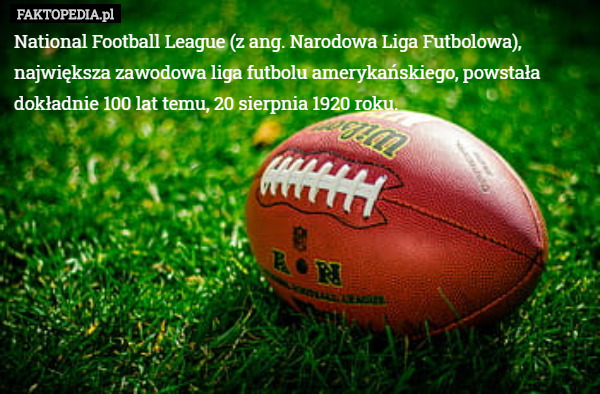 National Football League (z ang. Narodowa Liga Futbolowa), największa zawodowa
