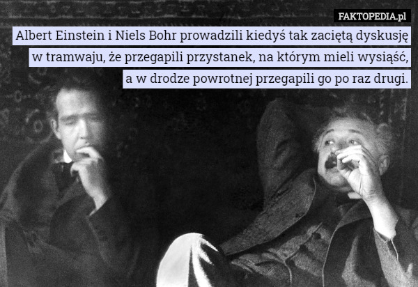 Albert Einstein i Niels Bohr prowadzili kiedyś tak zaciętą dyskusję w tramwaju...