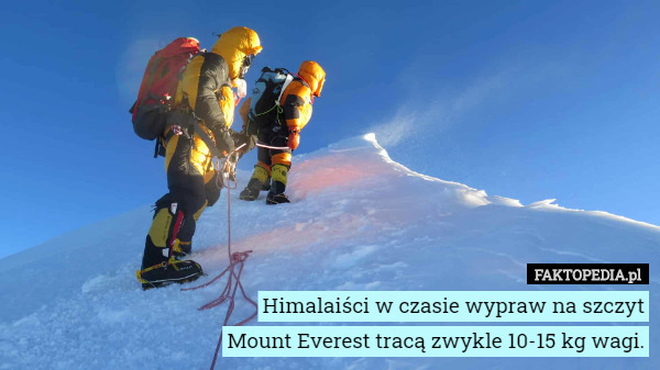 Himalaiści w czasie wypraw na szczyt Mount Everest tracą zwykle...