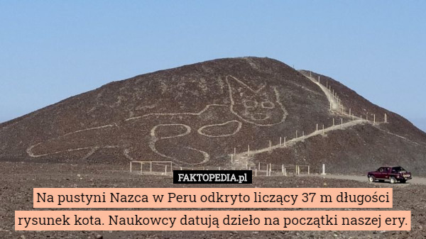Na pustyni Nazca w Peru odkryto liczący 37 m długości rysunek kota. Naukowcy...