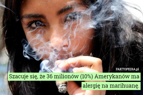 Szacuje się, że 36 milionów (10%) Amerykanów ma alergię na...