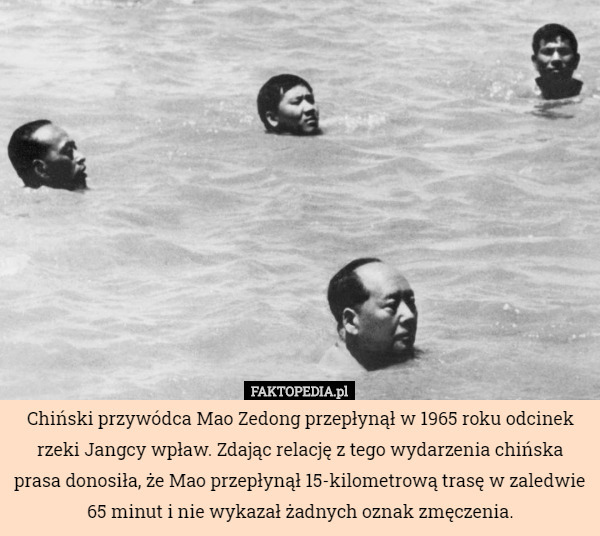Chiński przywódca Mao Zedong przepłynął w 1965 roku odcinek rzeki Jangcy...
