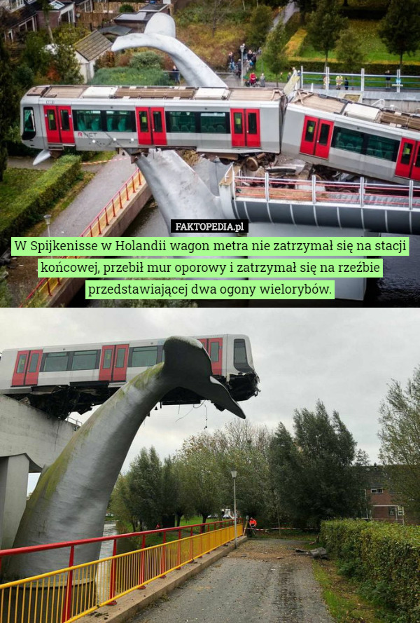 W Spijkenisse w Holandii wagon metra nie zatrzymał się na stacji końcowej...