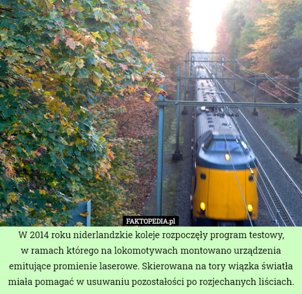 W 2014 roku niderlandzkie koleje rozpoczęły program testowy, w ramach którego...