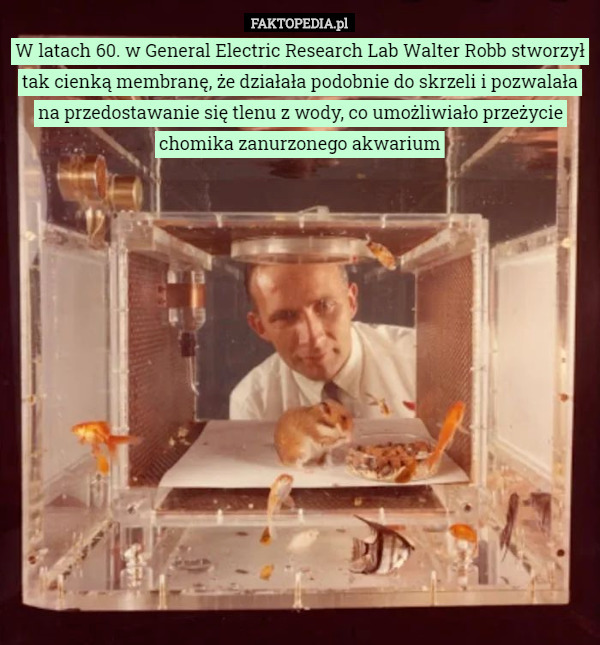 W latach 60. w General Electric Research Lab Walter Robb stworzył tak cienką