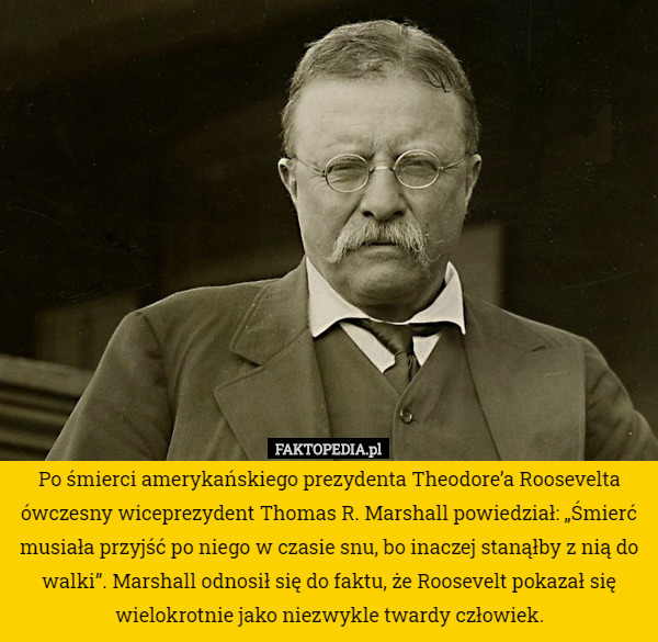 Po śmierci amerykańskiego prezydenta Theodore’a Roosevelta ówczesny wiceprezydent...