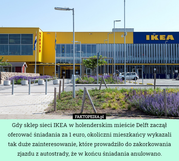 Gdy sklep sieci IKEA w holenderskim mieście Delft zaczął oferować śniadania...