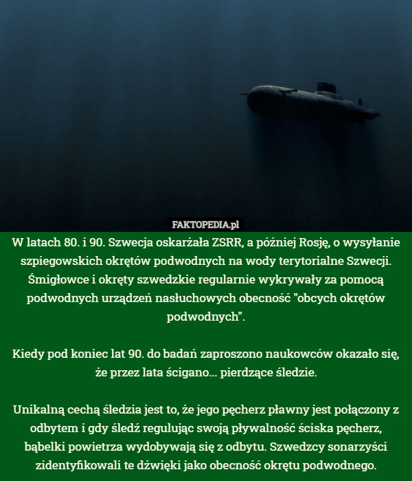 W latach 80. i 90. Szwecja oskarżała ZSRR szpiegowskich okrętów podwodnych...