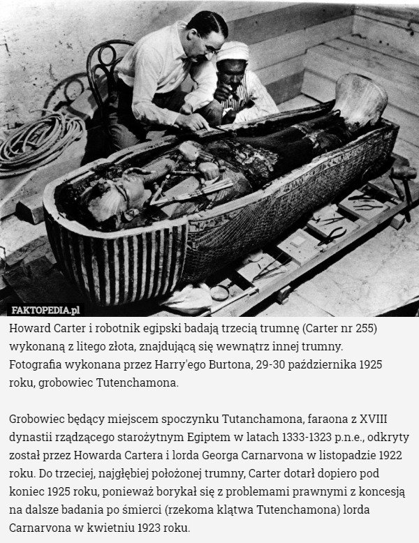 Howard Carter i robotnik egipski badają trzecią trumnę (Carter nr 255) wykonaną...