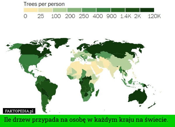 Ile drzew przypada na osobę w każdym kraju na świecie.