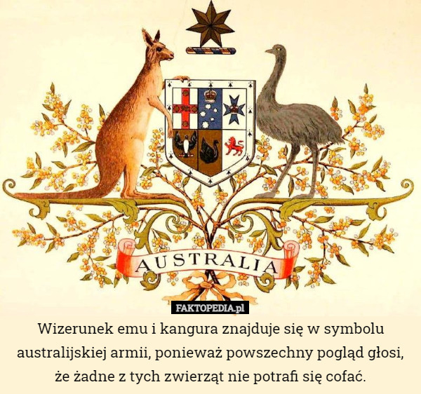 Wizerunek emu i kangura znajduje się w symbolu australijskiej armii, ponieważ...