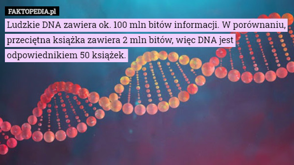 Ludzkie DNA zawiera ok. 100 mln bitów informacji. W porównaniu, przeciętna