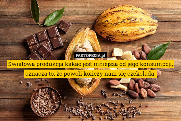 Światowa produkcja kakao jest mniejsza od jego konsumpcji, oznacza to, że