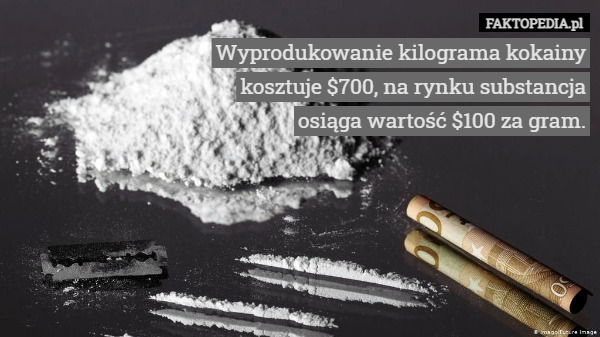 Wyprodukowanie kilograma kokainy kosztuje $700, na rynku substancja osiąga