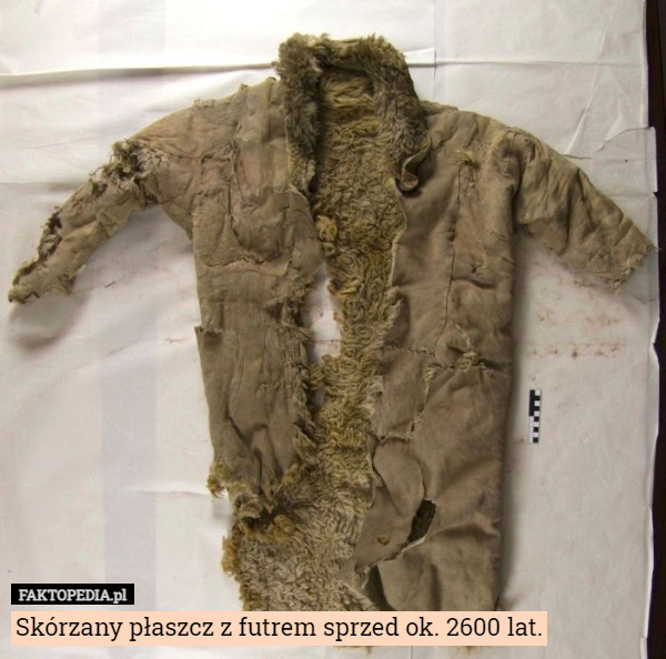 Skórzany płaszcz z futrem sprzed ok. 2600 lat.