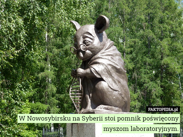 W Nowosybirsku na Syberii stoi pomnik poświęcony...