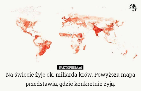 Na świecie żyje ok. miliarda krów. Powyższa mapa przedstawia, gdzie konkretnie...
