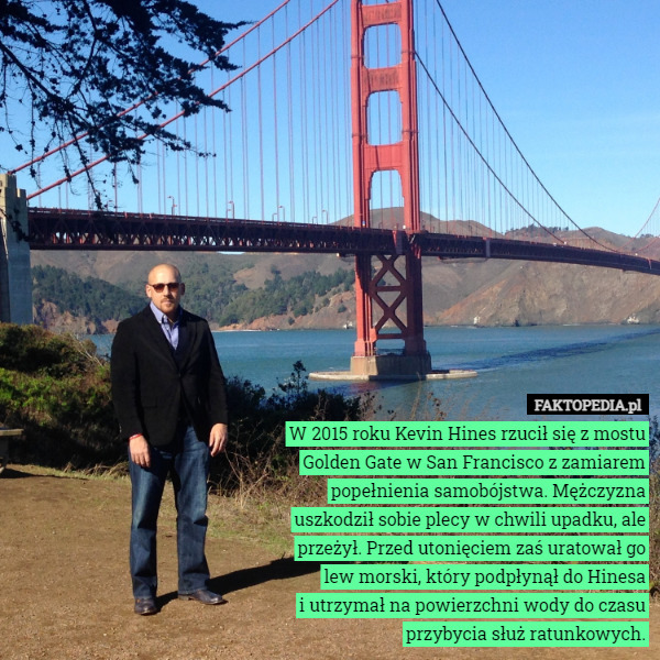 W 2015 roku Kevin Hines rzucił się z mostu Golden Gate w San Francisco z...