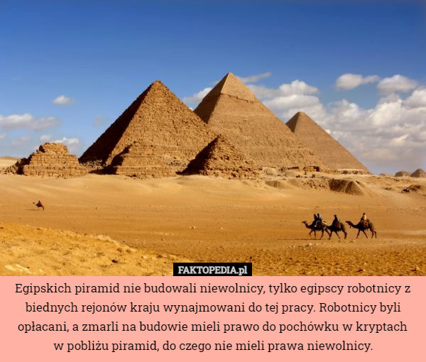 Egipskich piramid nie budowali niewolnicy, tylko egipscy robotnicy z biednych...