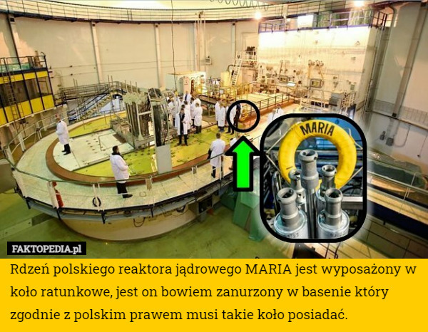 Rdzeń polskiego reaktora jądrowego MARIA jest wyposażony w koło ratunkowe,