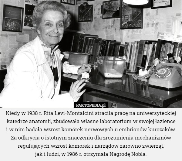 Kiedy w 1938 r. Rita Levi-Montalcini straciła pracę na uniwersyteckiej katedrze...