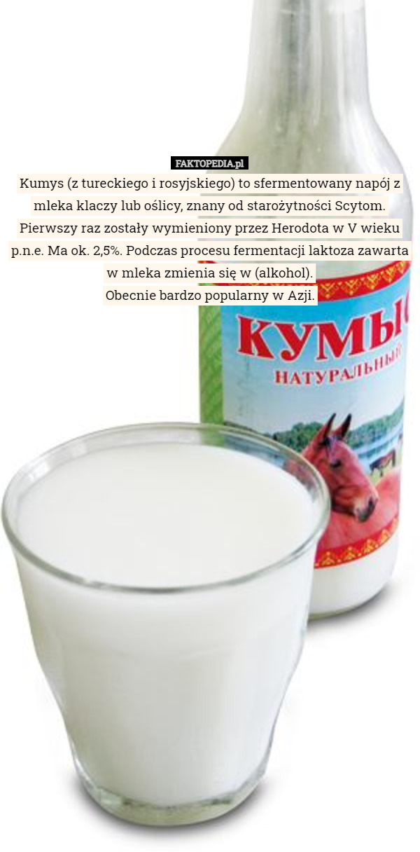 Kumys (z tureckiego i rosyjskiego) to sfermentowany napój z mleka klaczy