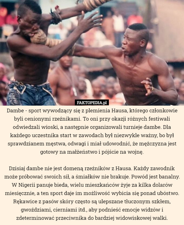 Dambe - sport wywodzący się z plemienia Hausa, którego członkowie byli cenionymi...