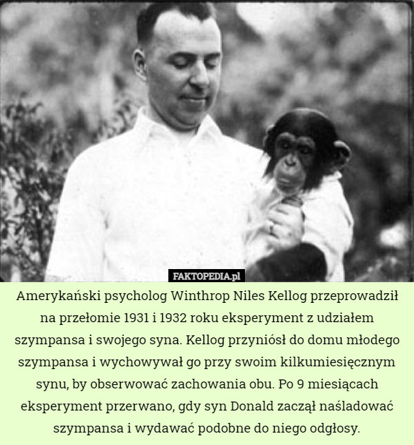 Amerykański psycholog Winthrop Niles Kellog przeprowadził na przełomie 1931...