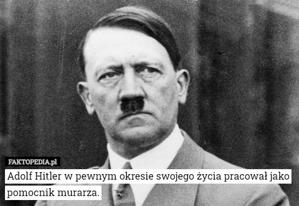 Adolf Hitler w pewnym okresie swojego życia pracował jako...