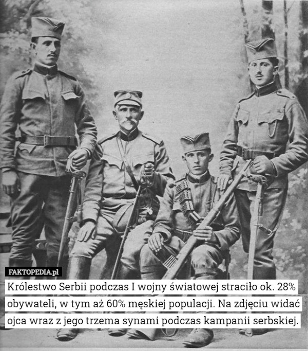 Królestwo Serbii podczas I wojny światowej straciło ok. 28%...