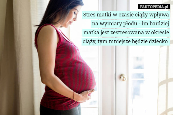 Stres matki w czasie ciąży wpływa na wymiary płodu - im bardziej matka zestresowana...