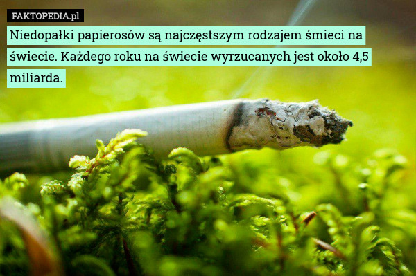 Niedopałki papierosów są najczęstszym rodzajem śmieci na świecie. Każdego