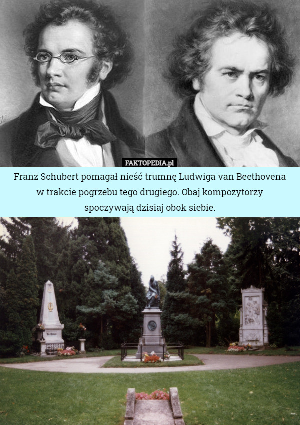 Franz Schubert pomagał nieść trumnę Ludwiga van Beethovenaw trakcie pogrzebu