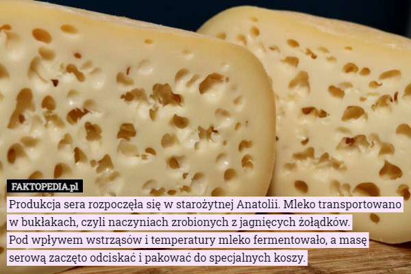Produkcja sera rozpoczęła się w starożytnej Anatolii. Mleko transportowano...