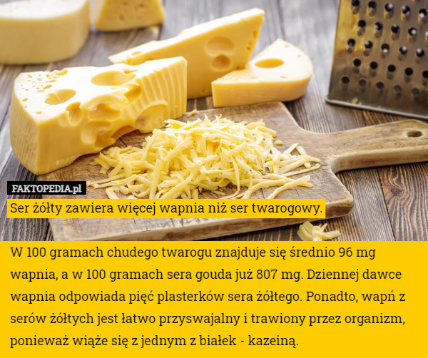 Ser żółty zawiera więcej wapnia niż ser twarogowy. W 100 gramach chudego...