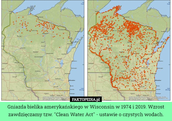 Gniazda bielika amerykańskiego w Wisconsin w 1974 i 2019. Wzrost zawdzięczamy...