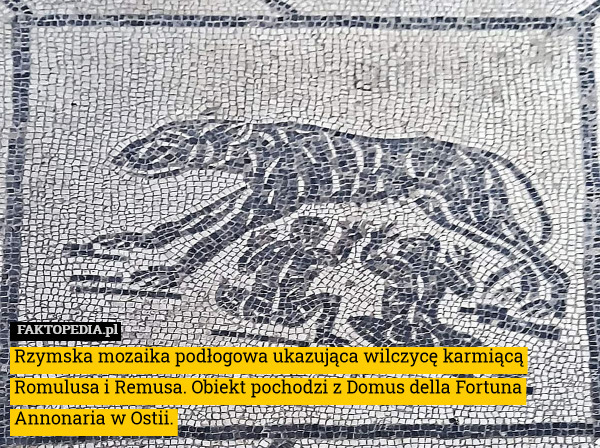 Rzymska mozaika podłogowa ukazująca wilczycę karmiącą Romulusa i Remusa.