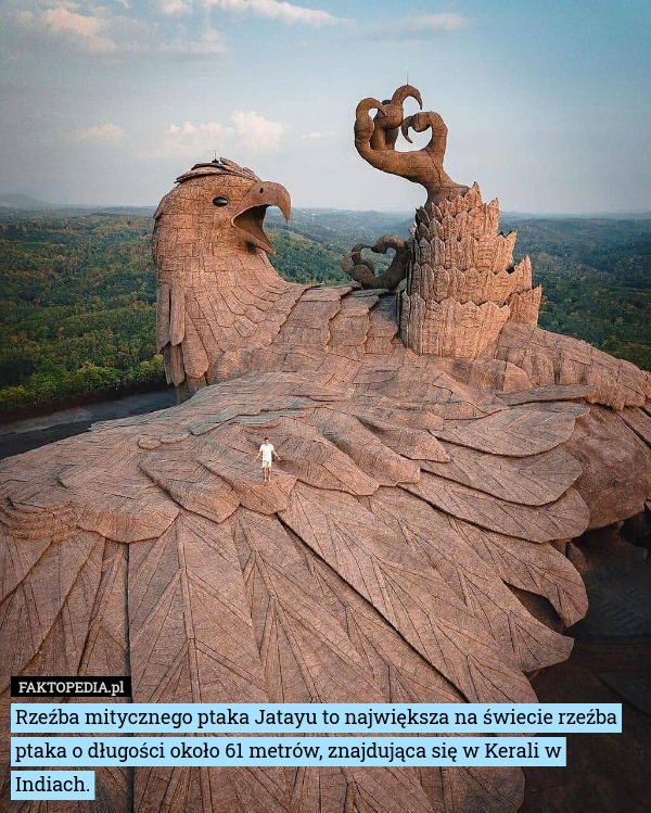 Rzeźba mitycznego ptaka Jatayu to największa na świecie rzeźba ptaka o długości